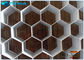 Fácil material forte da estrutura de favo de mel da decoração da rigidez alta instalar e jejuar fornecedor