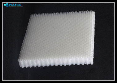 China Núcleo de favo de mel condutor do policarbonato da categoria para os painéis plásticos do favo de mel fornecedor