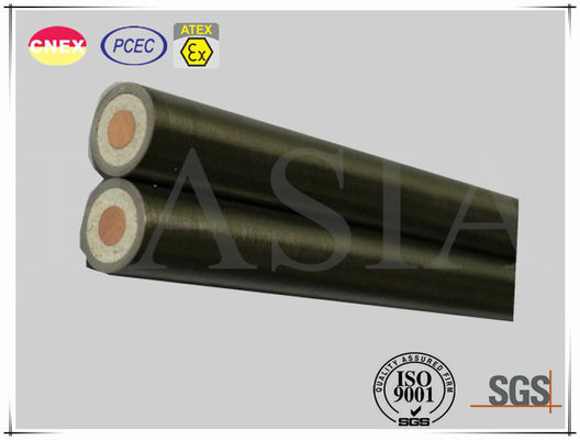 Single Core Heating Element of Mineral Insulated Cable for Industrial Use fornecedor